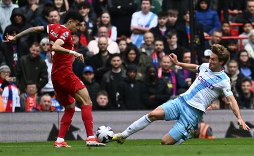 Best Online Sport Betting BetKing Guide